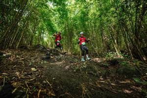 BIB: 
                            <button type="button" onclick="openModal(25101550)" class="btn btn-primary btn-sm float-right btn-popup" data-toggle="modal" data-target=".modal-high-quality">
                        <i class="fas fa-shopping-cart"></i> Add to Cart
                    </button>
                                            <button type="button" onclick="isThisMe(25101550, true)" class="btn btn-success btn-sm float-right btn-popup btn-isme hidden" data-toggle="tooltip" data-placement="bottom" title="นี่คือรูปของคุณใช่ไหม คลิกที่นี่เพื่อเอาเข้าอัลบั้ม">
                        <i class="fas fa-plus"></i> Add to album
                    </button>
                    <button type="button" onclick="isThisMe(25101550, false)" class="btn btn-warning btn-sm float-right btn-popup btn-isnotme hidden">
                        <i class="fas fa-ban"></i> Remove from album
                    </button>